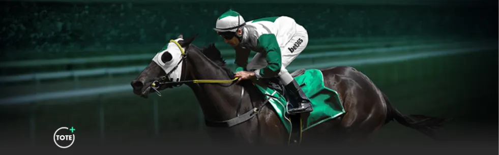 国内足球,冯旭强调,高级别大赛,米乐YY易游,YY,米乐YY易游官网,米乐YY易游体育官网,米乐YY易游体育下载,米乐YY易游APP