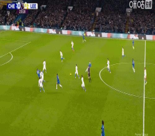 阿根廷记者,透露,洛塞尔索因,米乐YY易游,YY,米乐YY易游官网,米乐YY易游体育官网,米乐YY易游体育下载,米乐YY易游APP