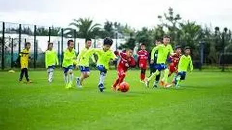 米乐YY易游体育