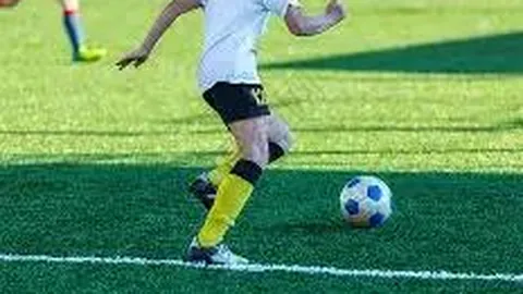 米乐YY易游体育