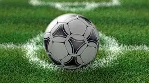 米乐YY易游体育